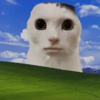 theorencopper
