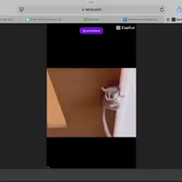 phonkperson