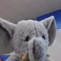 peelyisgood