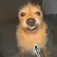 5notbui