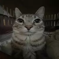 skittlx