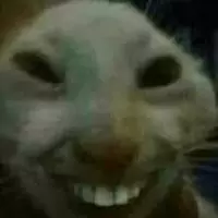 carskiwi