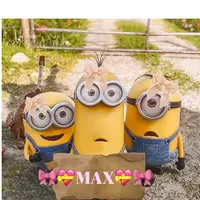 max4liferzz