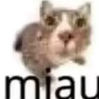 truaca