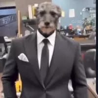 pluhpluh28