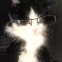 ☆*:..｡.saniii .｡.:*☆ (maknaemenace)