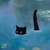 ☆*:..｡.saniii .｡.:*☆ (maknaemenace)