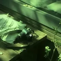 ☆*:..｡.saniii .｡.:*☆ (maknaemenace)