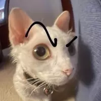 Funny videos (helloo33)