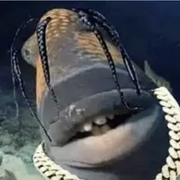 TravisScottfish67 (crippledmanreallylackedhands67)