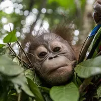 MoochyNerdVideos (elliotd88)