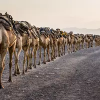 get me to 10000 (gcgfttftft)