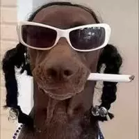 ur uncle snoop (leshawn-dingelberry)