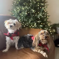 izzy67 (untidydetergent)