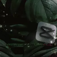 Mystery_Person_Robinson2 (mysterypersonrobinson2)