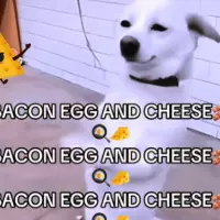 funny-school-moments