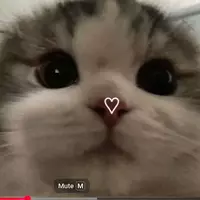 EU AMO O SPRINGTRAP (springtrapisfineaf)