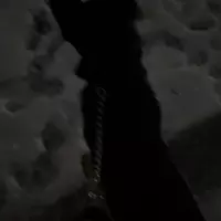 addylovesjesse (addyyybaddie)