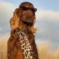 usernameisunavailable