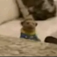 AverageOfficeWorker (vast)