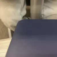 Darcie (partyinjury)