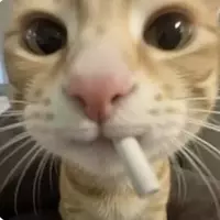 That Rae (theraeinyourlife)