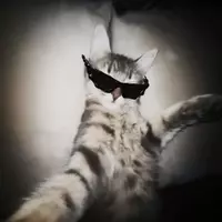 That Rae (theraeinyourlife)