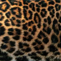 aubreyy (sigmarizz00)