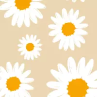 username21 (catsrule21)