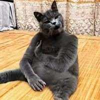 Batmanrhythm (rhythm)