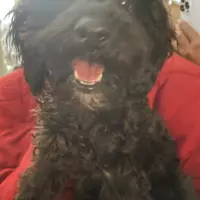 ryoung YARELI  andIVY (ryoungandivy)