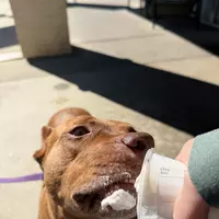 Iliketurtles6741 (ruoymom76)