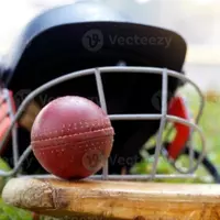 CricketLife#1 (lifememo44)