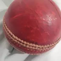 Cricket (cricketlover35)