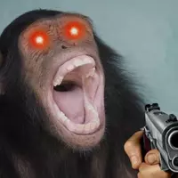 liitlemokeybut456 (diddy456)