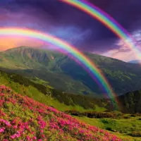 ilovewainbow (mylittlepony67)