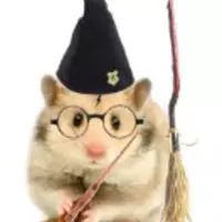 I<3HARRY-POTTER-B00KS (gumgum)