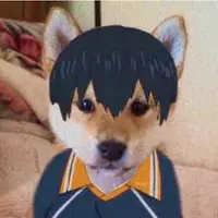 fox jr (owenn)