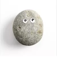 rock jr (owenn)