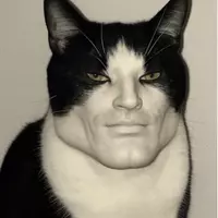 Mr draw+edits (cool123)