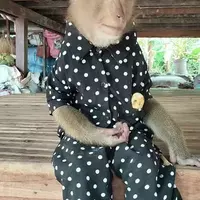 keelan wattsits (kkww)