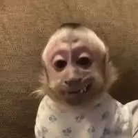 weedboy3000