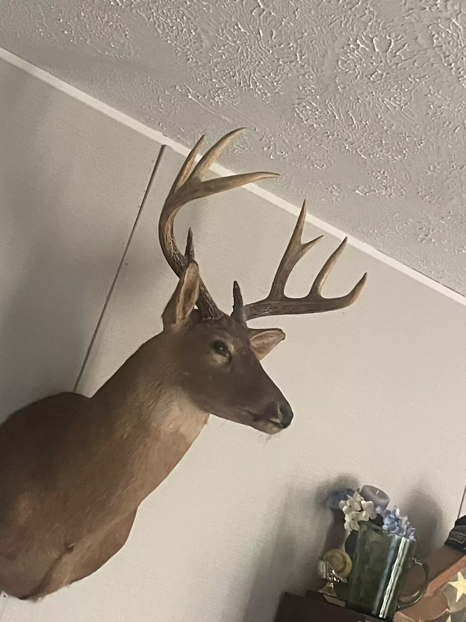 tate69132 profile