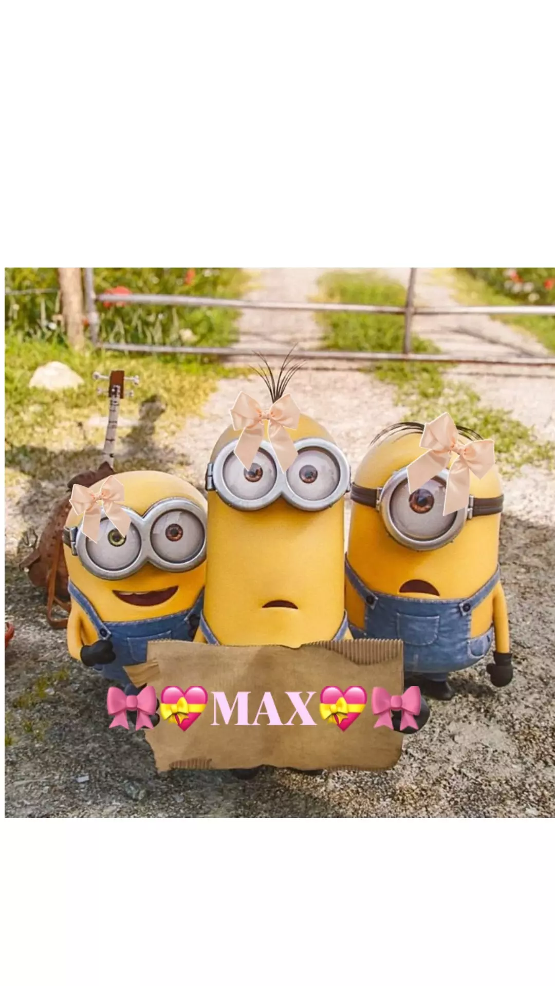 max4liferzz profile