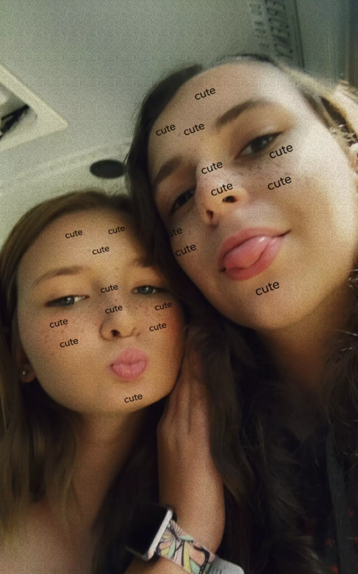 spookyandhauntthedogs profile