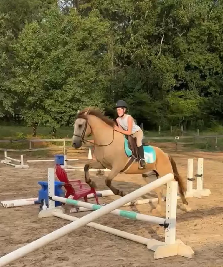 mallieandherhorse profile