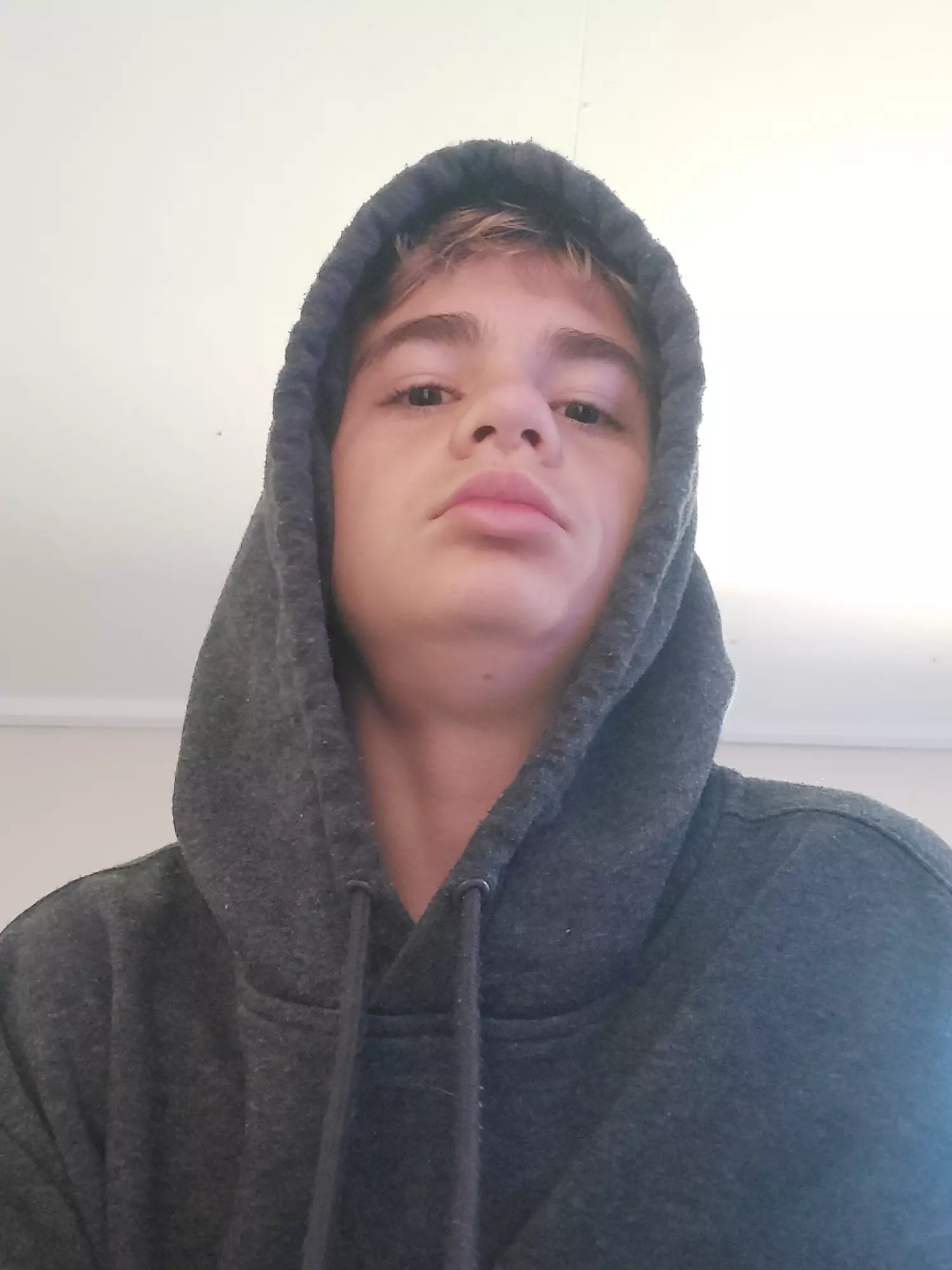 bigboylogan profile