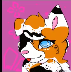 kokokat profile