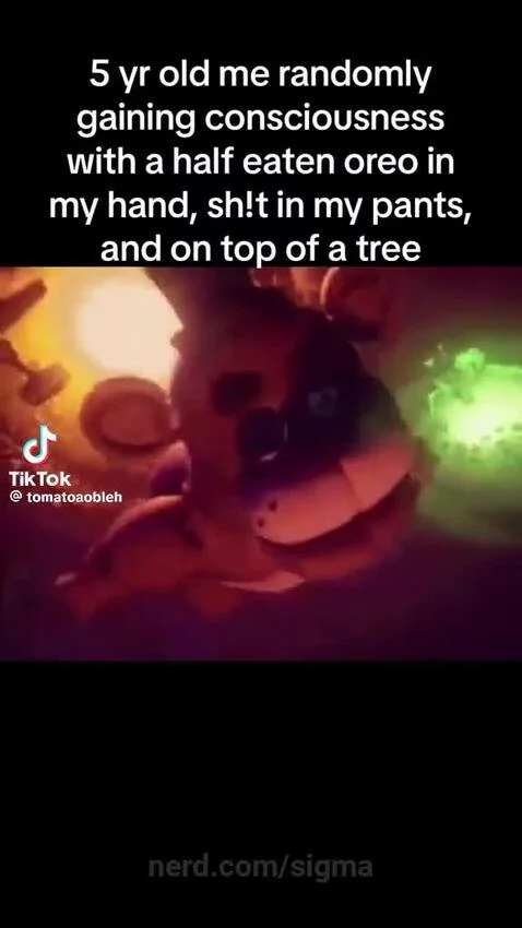 Video by sigma