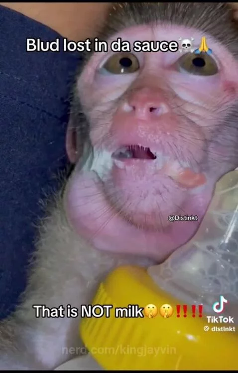 Creamy substance by kingjayvin